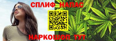 сатива Тула