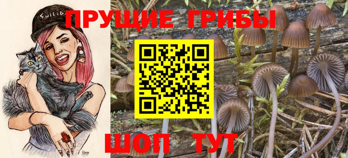 Псилоцибиновые грибы мицелий Мелеуз